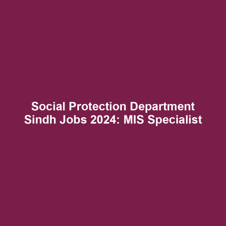 Social Protection Department Sindh Jobs 2024: MIS Specialist