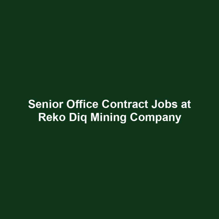 Senior Office Contract Jobs at Reko Diq Mining Company