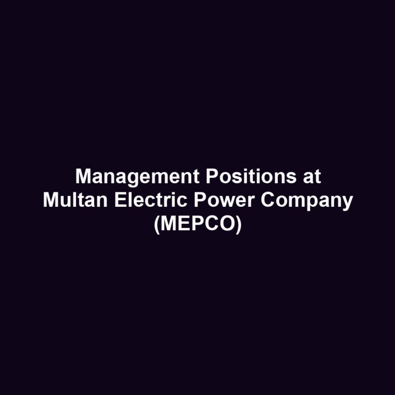 Management Positions at Multan Electric Power Company (MEPCO)