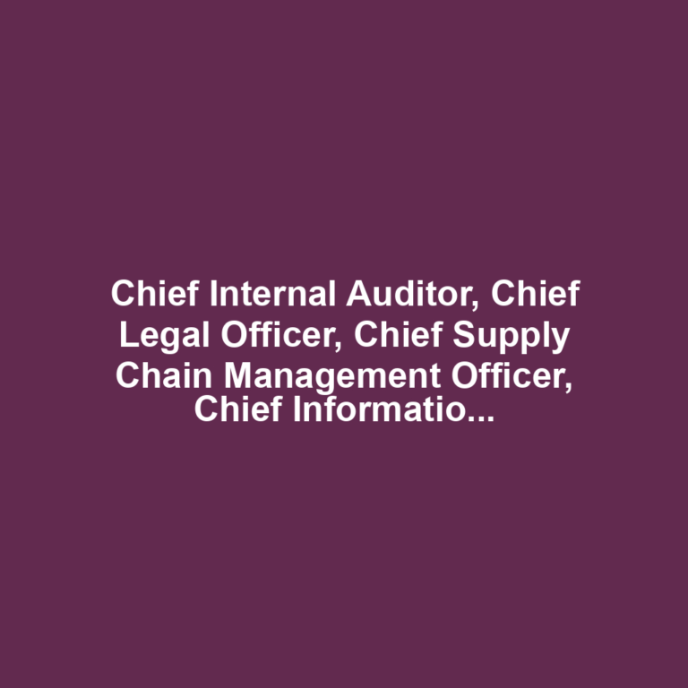 Chief Internal Auditor, Chief Legal Officer, Chief Supply Chain Management Officer, Chief Information Technology Systems