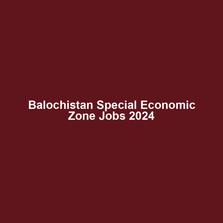 Balochistan Special Economic Zone Jobs 2024