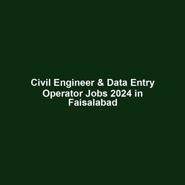 Civil Engineer & Data Entry Operator Jobs 2024 in Faisalabad