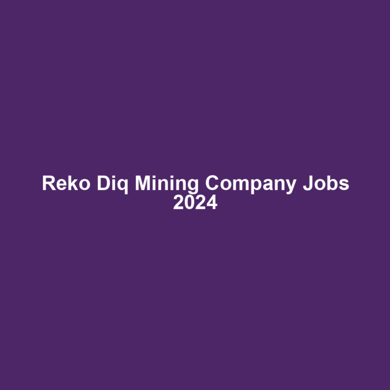 Reko Diq Mining Company Jobs 2024