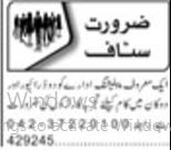 Driver & Shop Helper at Publishing Company, Lahore