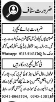 Mathematics Teacher & Speech Therapist Positions for 2024