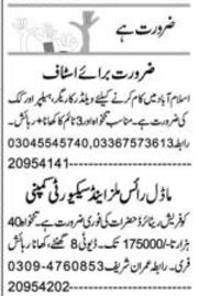 Security Guard & Cook Jobs at Private Company, Lahore