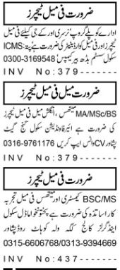 Teacher and Coordinator Jobs at Private School in Peshawar