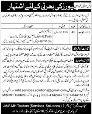 Driver (HTV, LTV) at Public Sector Organization Lahore - 2024