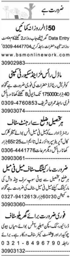 Various Positions at Private Company