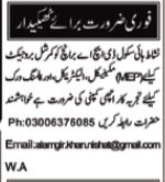 Contractor at Nishat High School, Multan