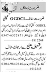 Private Company - Security & Office Staff Jobs