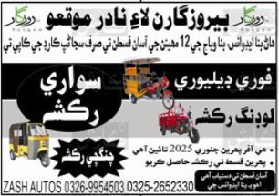 Delivery Loading Rikshaw Driver at Private Group Karachi