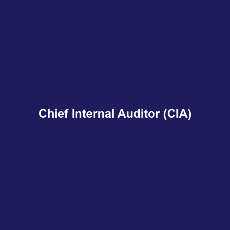 Chief Internal Auditor (CIA)