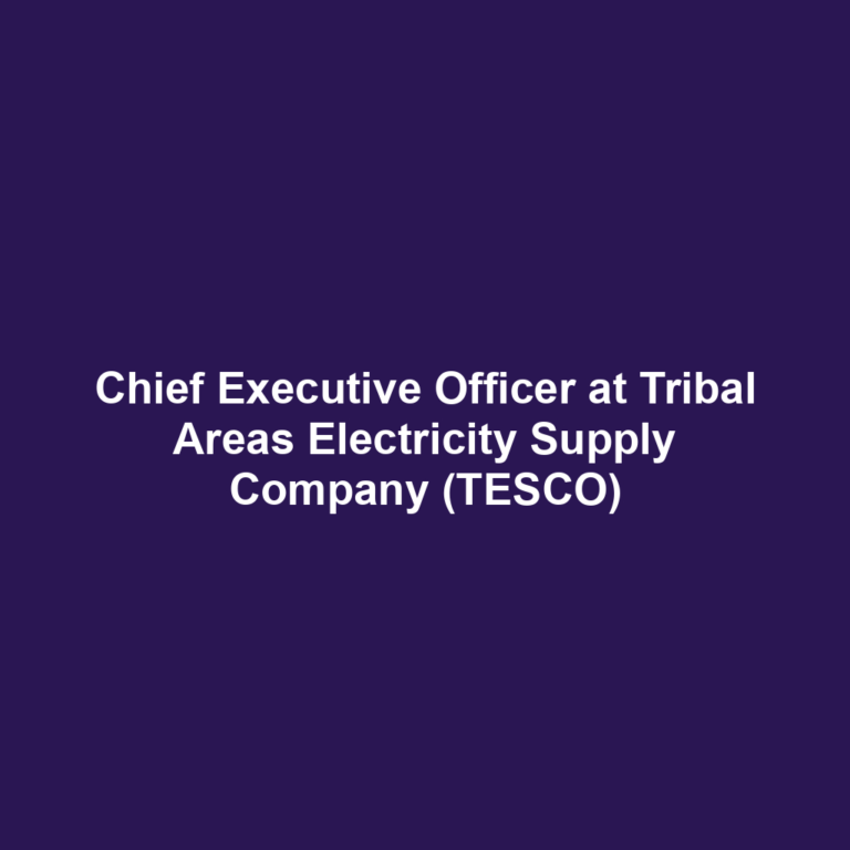 Chief Executive Officer at Tribal Areas Electricity Supply Company (TESCO)