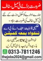 Female Staff Jobs at Private Group Faisalabad