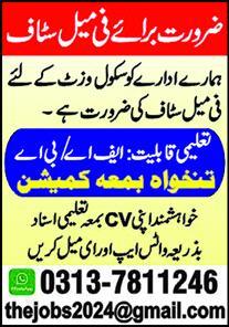 Female Staff at Private School Faisalabad