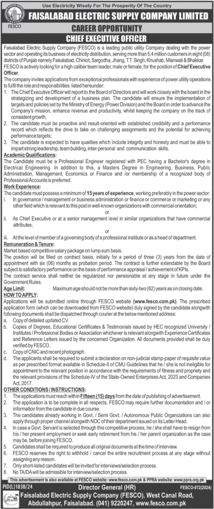 Chief Executive Officer at Faisalabad Electric Supply Company (FESCO)